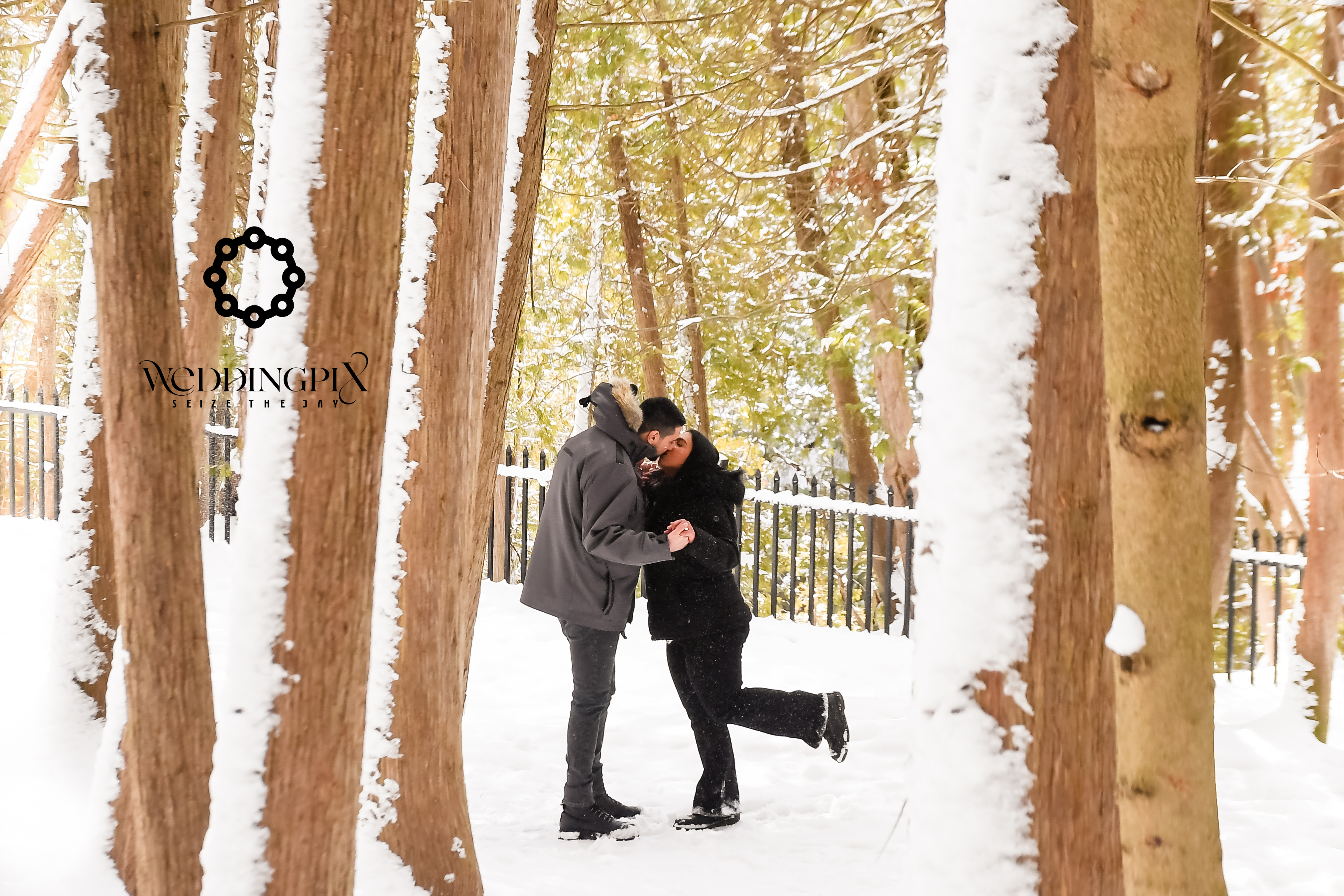 Winter engagement photo shoot amongst snow-covered trees.